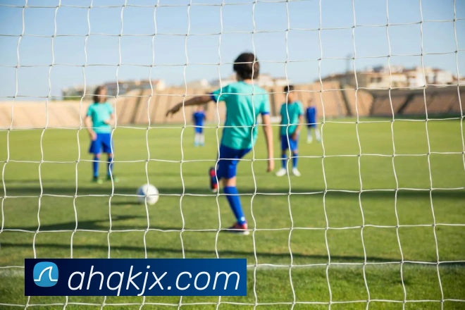 爱游戏服务体系